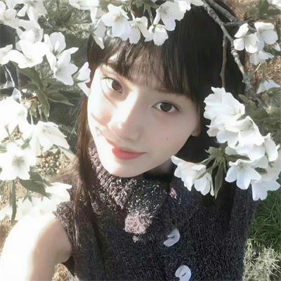 高更传:寻找天堂